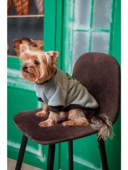 Толстовка для собак и кошек