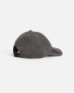 Кепка Anteater 6Panel-Grey