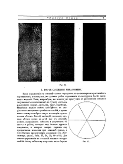 Акварель | Лепикаш ВА.