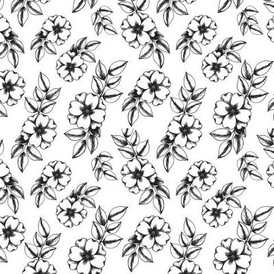 Черно-белая роза. Линейный рисунок цветков розы.