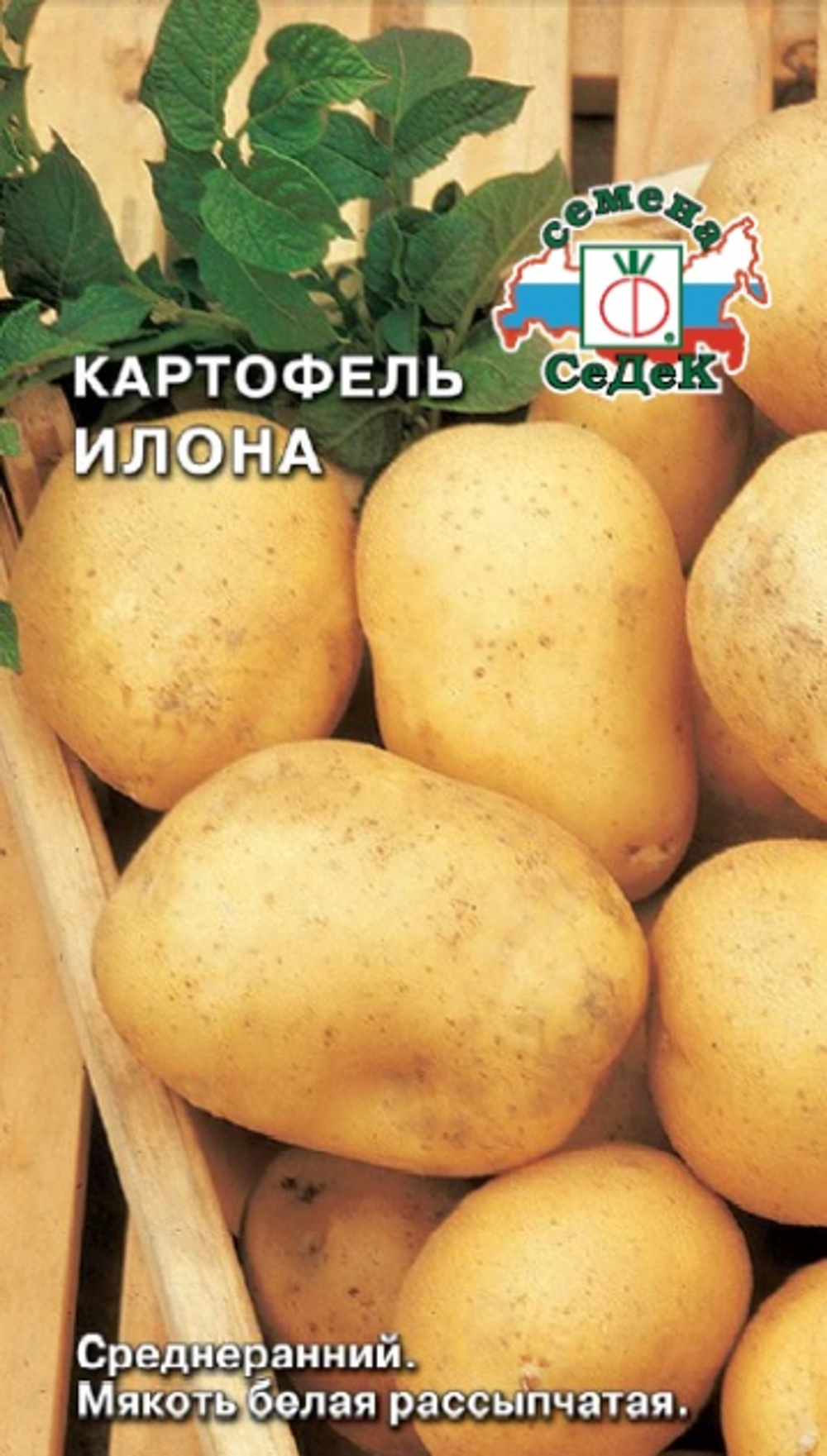 картофель Илона