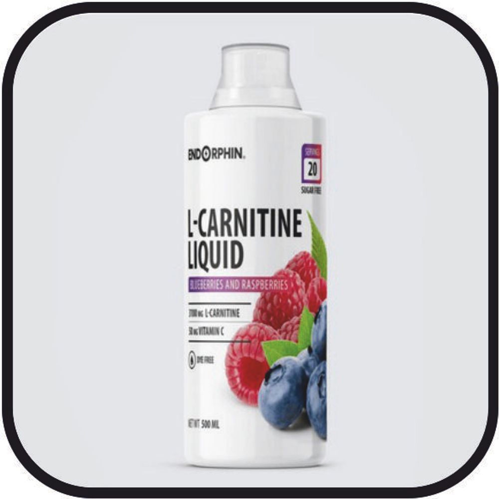 Л-карнитин ENDORPHIN L-Carnitine liquid, 500 мл малина-черника