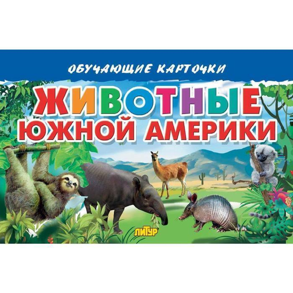 Н.Глушкова. Обучающие карточки. Животные Южной Америки. 3+