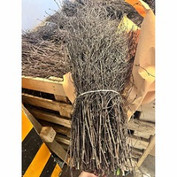 Метла березовая большая связка