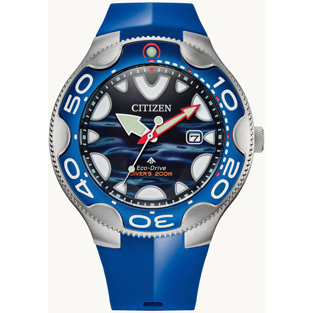 Мужские наручные часы Citizen BN0238-02L