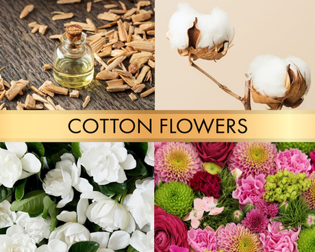 Cotton flowers (Цветы хлопка)