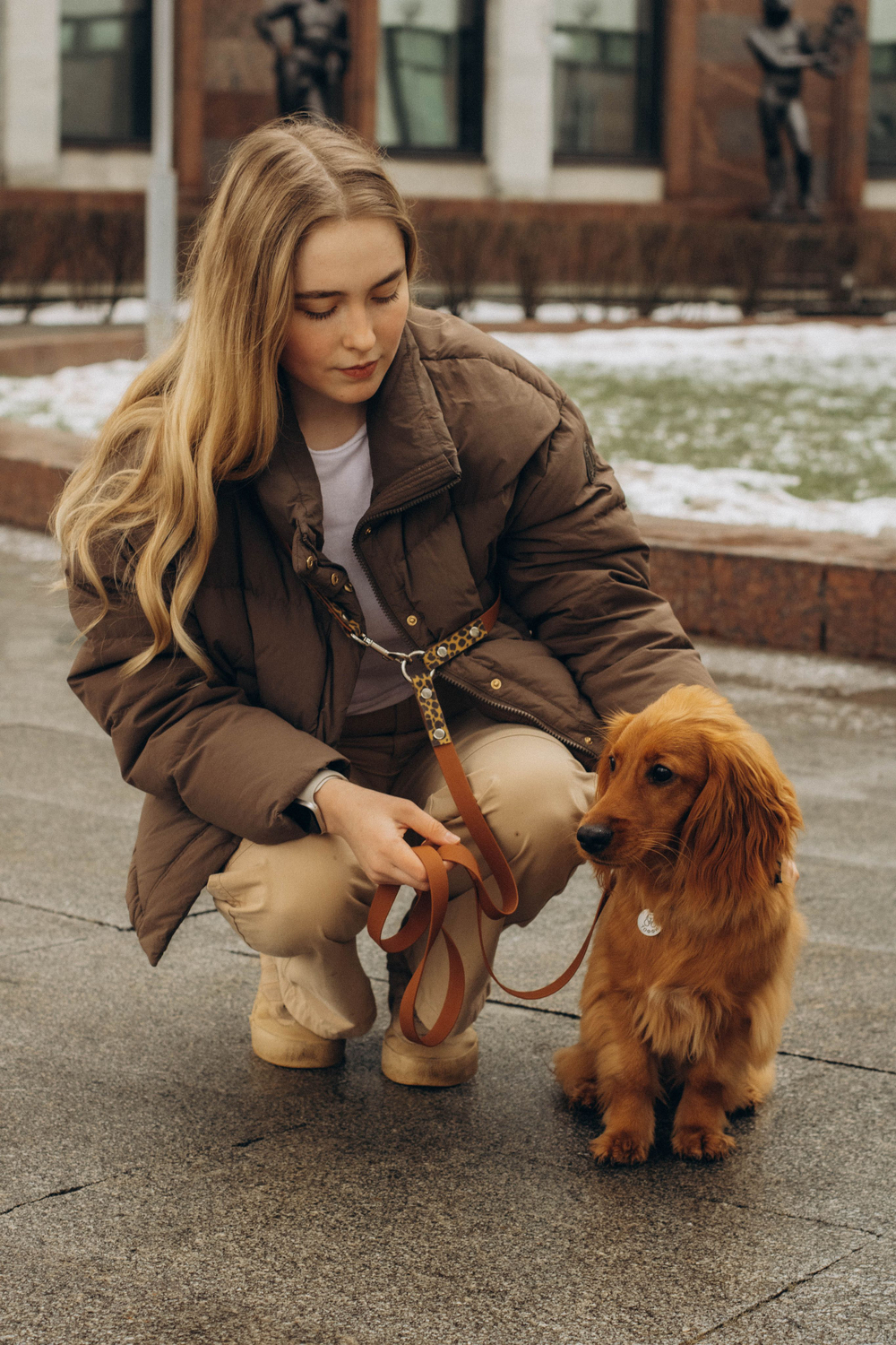 Перестежка поводок для собак 20 мм , 5 м коричневый и леопард