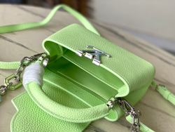 Louis Vuitton Capucines Mini