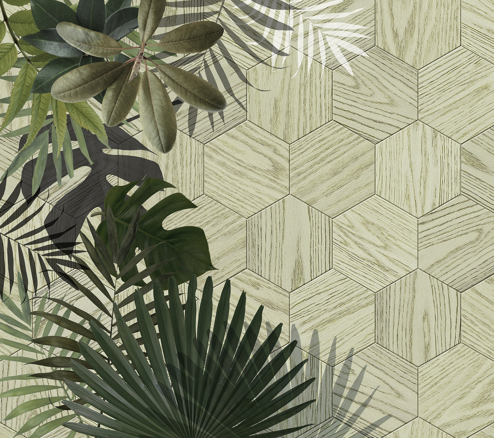 Коллекция GREENDAY