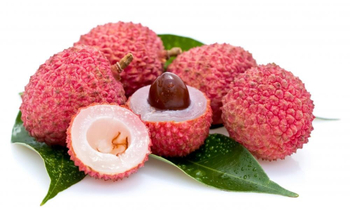 Бальзам для губ Vaadi Herbals Lychee Lip Therapy Личи 6 г