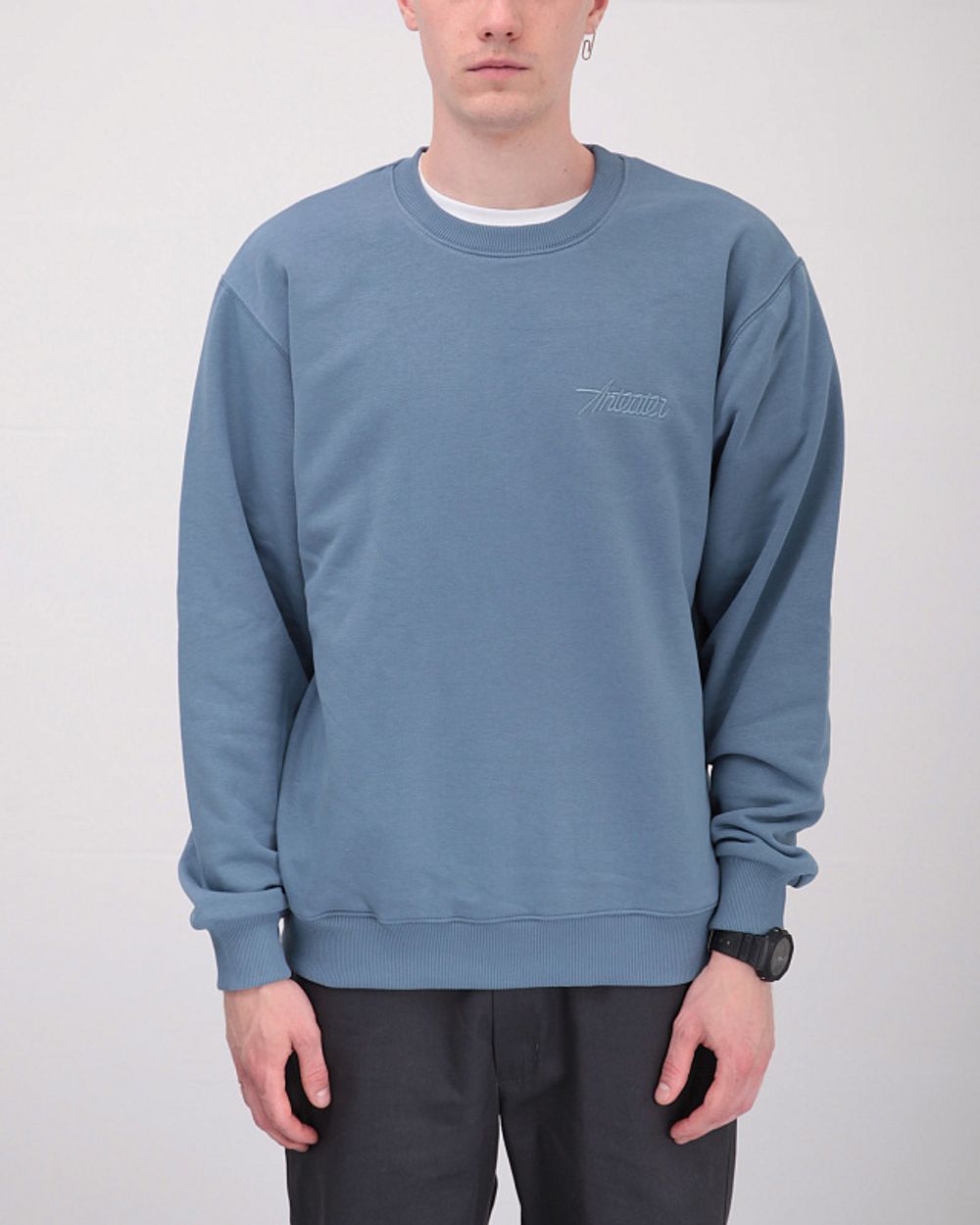 Толстовка ANTEATER Crewneck Синяя