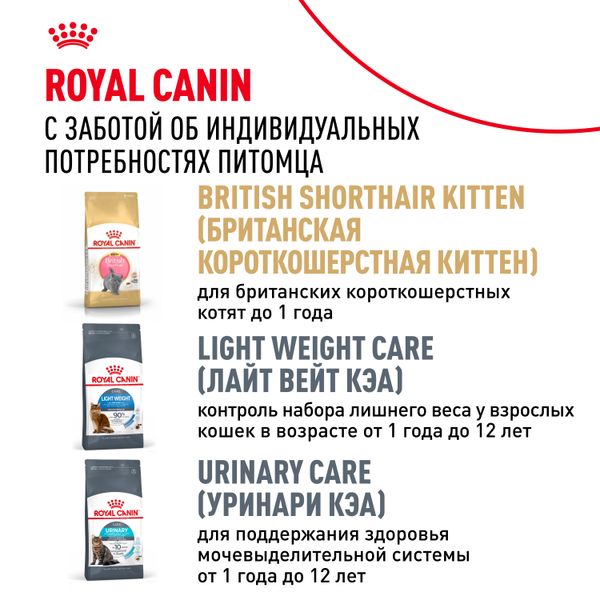 Сухой корм Royal Canin British Shorthair Adult для взрослых британских короткошерстных кошек