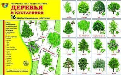 Т.В.Цветкова. СУПЕР. Деревья и кустарники. 16 демонстрационных картинок с текстом на обороте. 0+