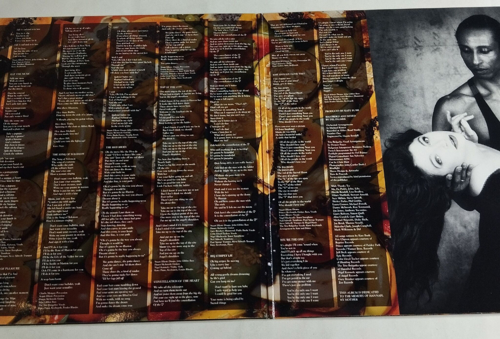 Винтажная виниловая пластинка LP Kate Bush The Red Shoes (EU 2018)