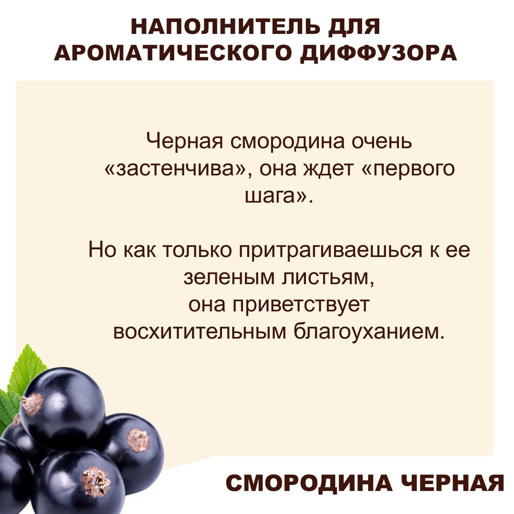 СМОРОДИНА ЧЕРНАЯ- Наполнитель для ароматического диффузора