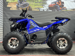 Квадроцикл GBM DAXTER 220 NEW PREMIUM