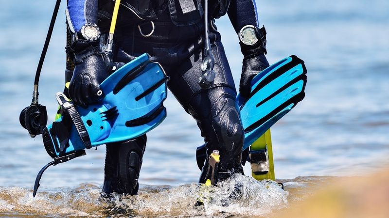 Куда стоит отправиться продвинутому дайверу для погружения с дайв-ботов