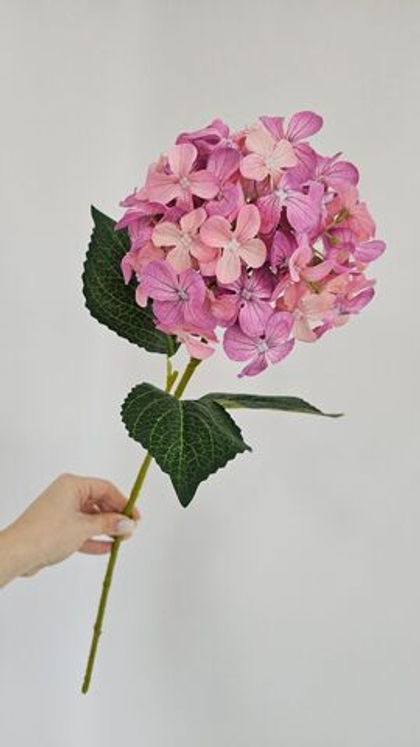 Гортензия / Арт 2098