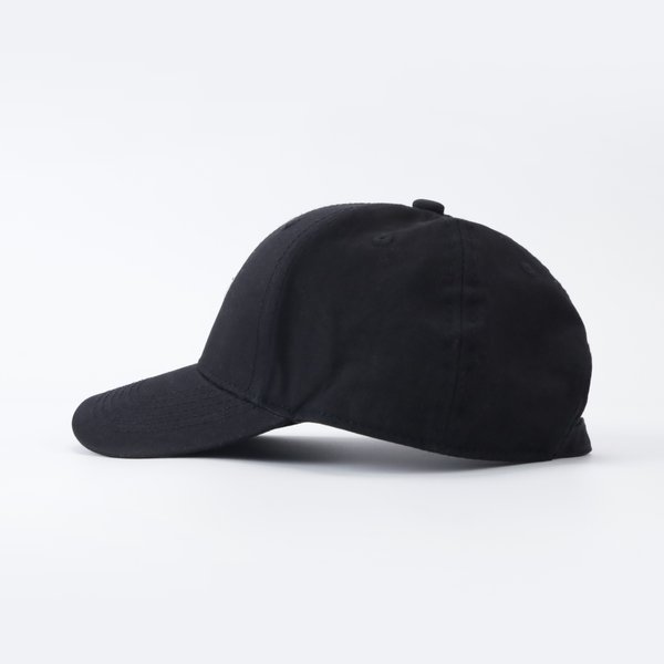 Кепка Anteater Baseball (black) артикул: - купить в магазине Дайс