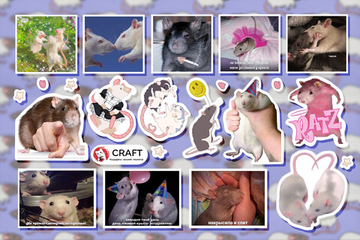 Стикерлист "Крысы"