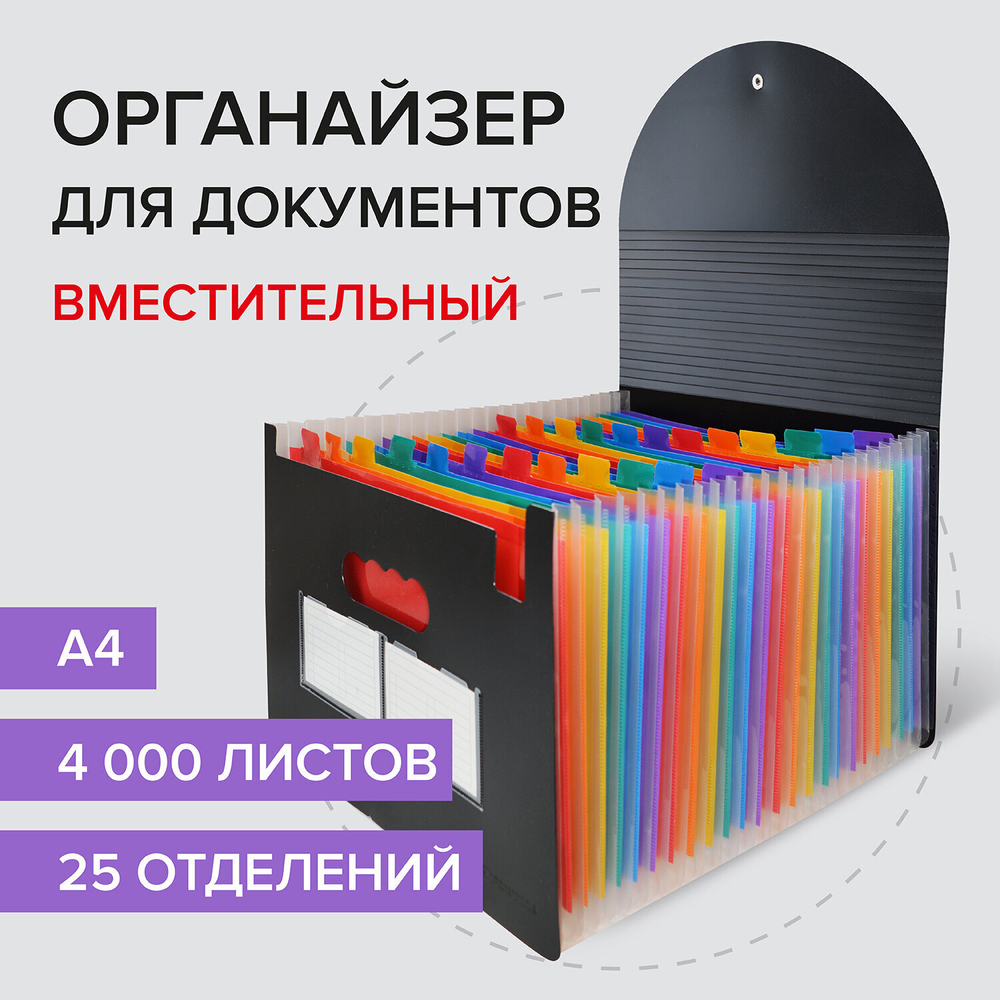 Папка-органайзер для бумаг и документов на резинке 25 отделений BRAUBERG DOCS А4 черная (2 штуки в упаковке)