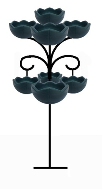 Цветочница Улитка двойная парковая-4