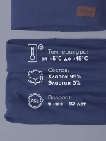 Шапка для мальчика осенняя и снуд