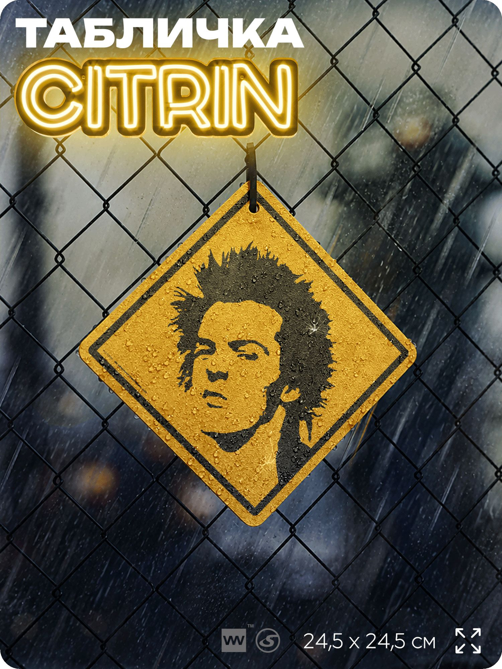 Табличка декоративная "Сид Вишес, Sid Vicious, Sex Pistols" на дверь и стену, прикольная штука в подарок, декоративный знак, 24,5х24,5 см, пластиковая, Айдентика Технолоджи