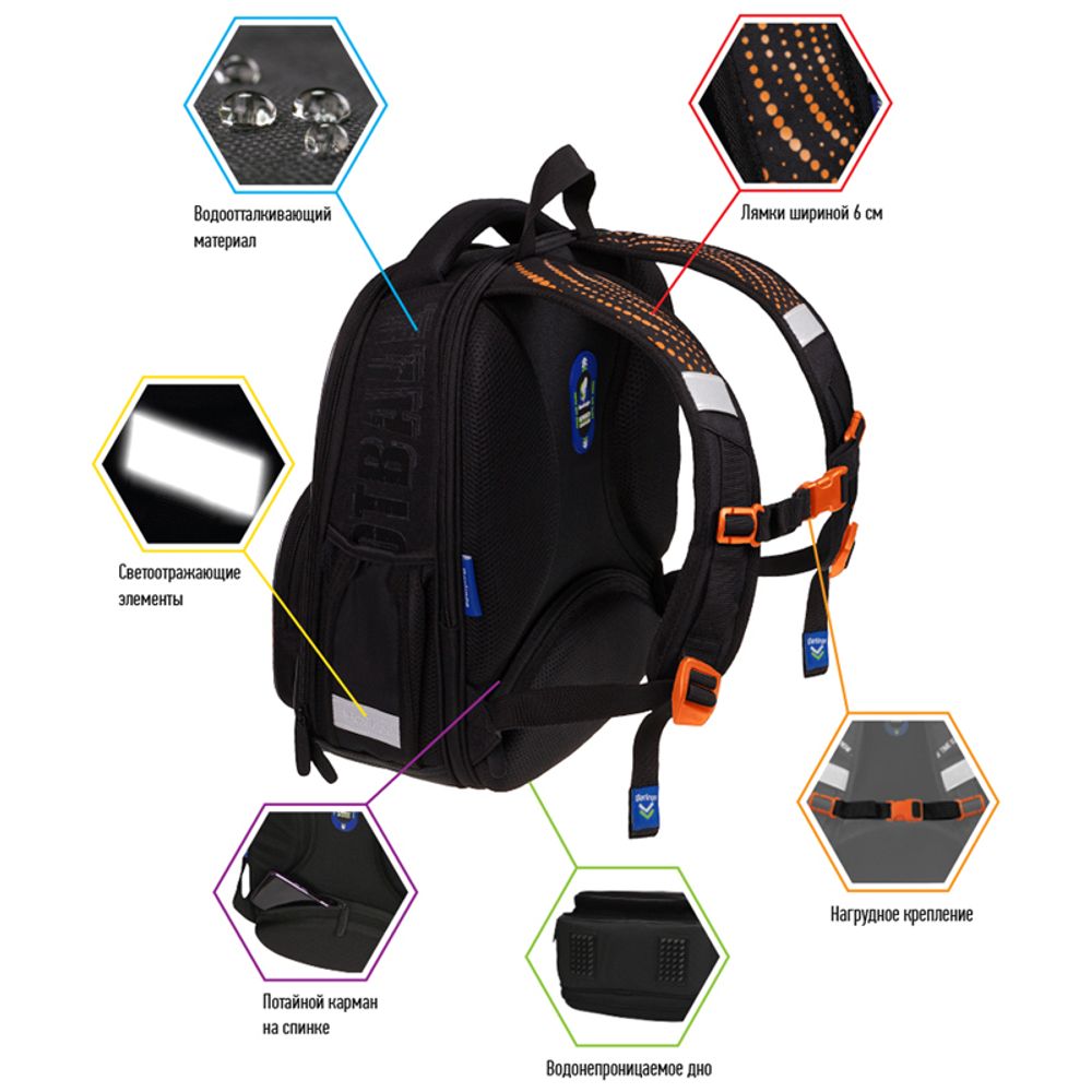 Ранец Berlingo Profi Legend 36х28х14см, 2 отд., с анатомической спинкой