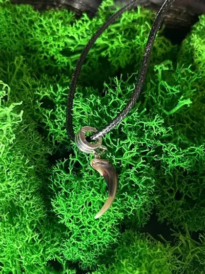 Амулет Коготь Лисы