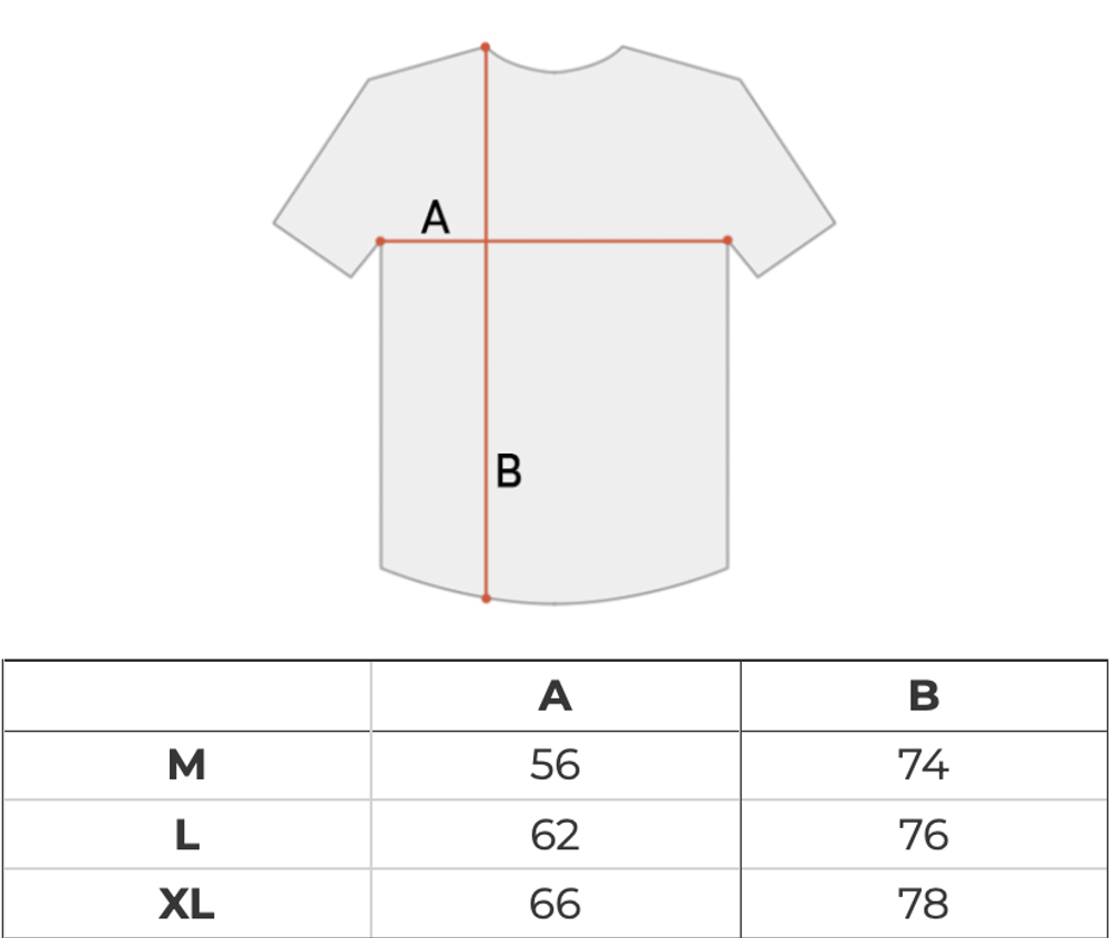 Футболка мужская Nike SB Logo
