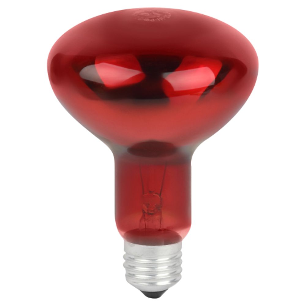 Комплект из 2-х инфракрасных ламп ЭРА ИКЗК 230-100 R95 E27 для курятника цыплят птиц животных/лампа для обогрева | Инфракрасные лампы