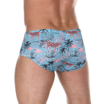 Бирюзовые мужские плавки с оригинальным принтом Doreanse Mayo