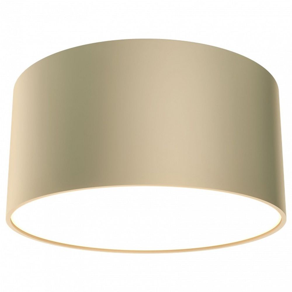 Накладной светильник Maytoni Zon C032CL-L12MG4K