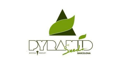 Sunset Sherbet USA fem