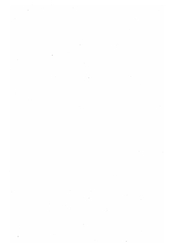 Царь Василий Шуйский и места погребения его в Польше. Том 2, Книга 2 | Цветаев Дмитрий Владимирович