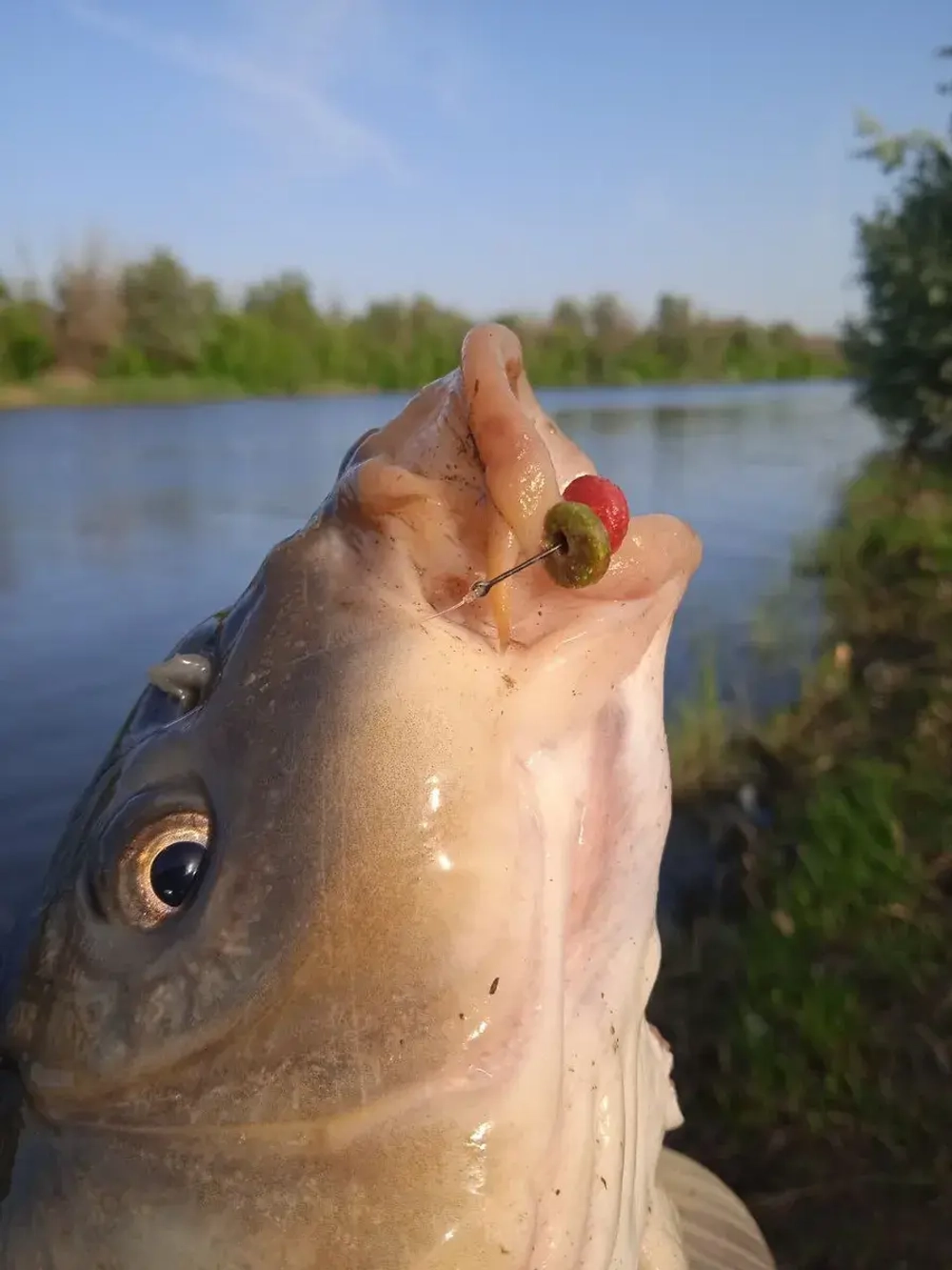 Наживка "Пылящие колечки"