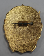 Знак "Ударник 9 пятилетки" XF
