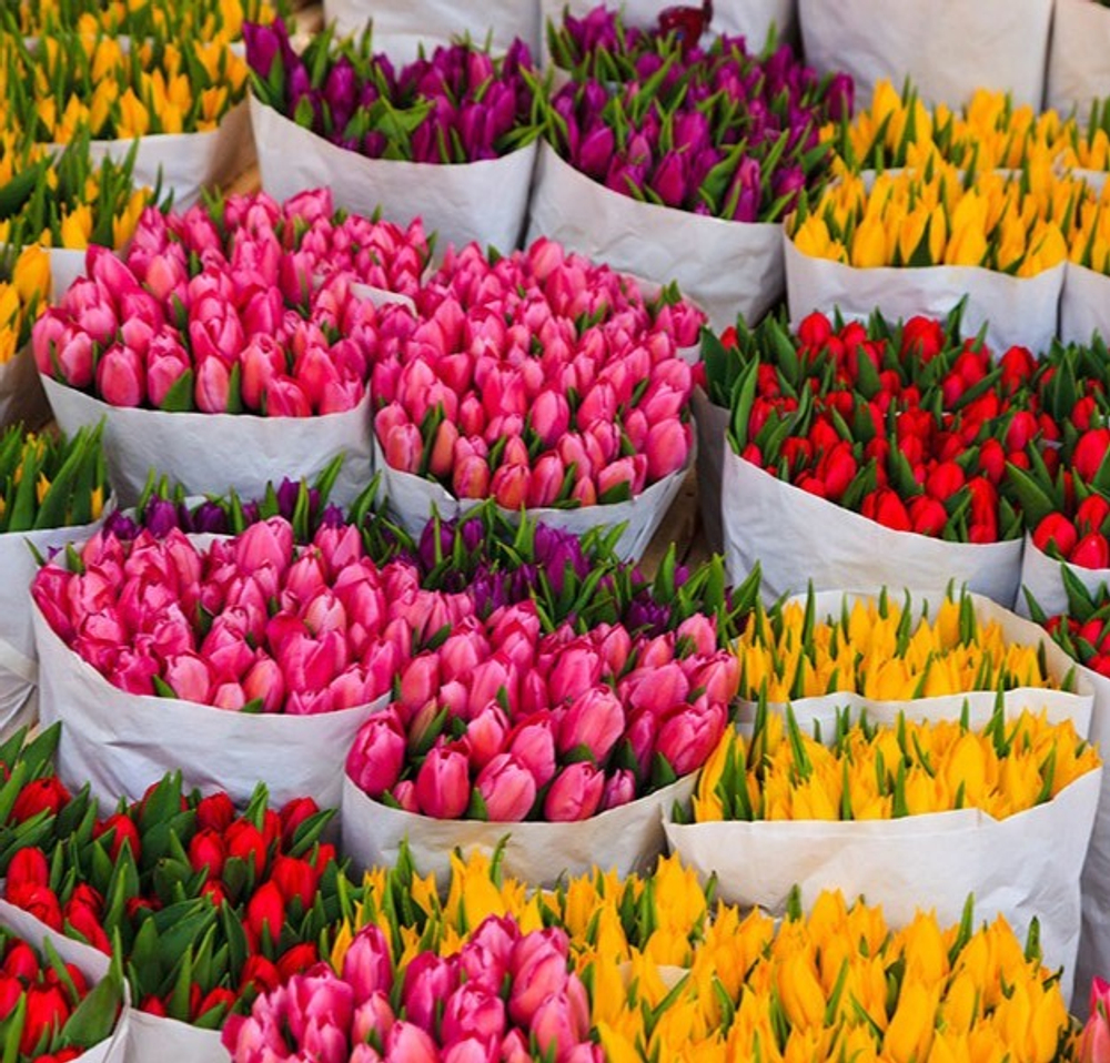 Банч тюльпанов 15 шт