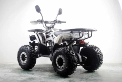 Квадроцикл MOTAX ATV Grizlik Premium 125cc