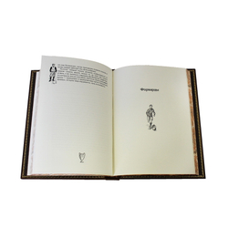 Футбол. Правила, история, тренировка, тактика, игра