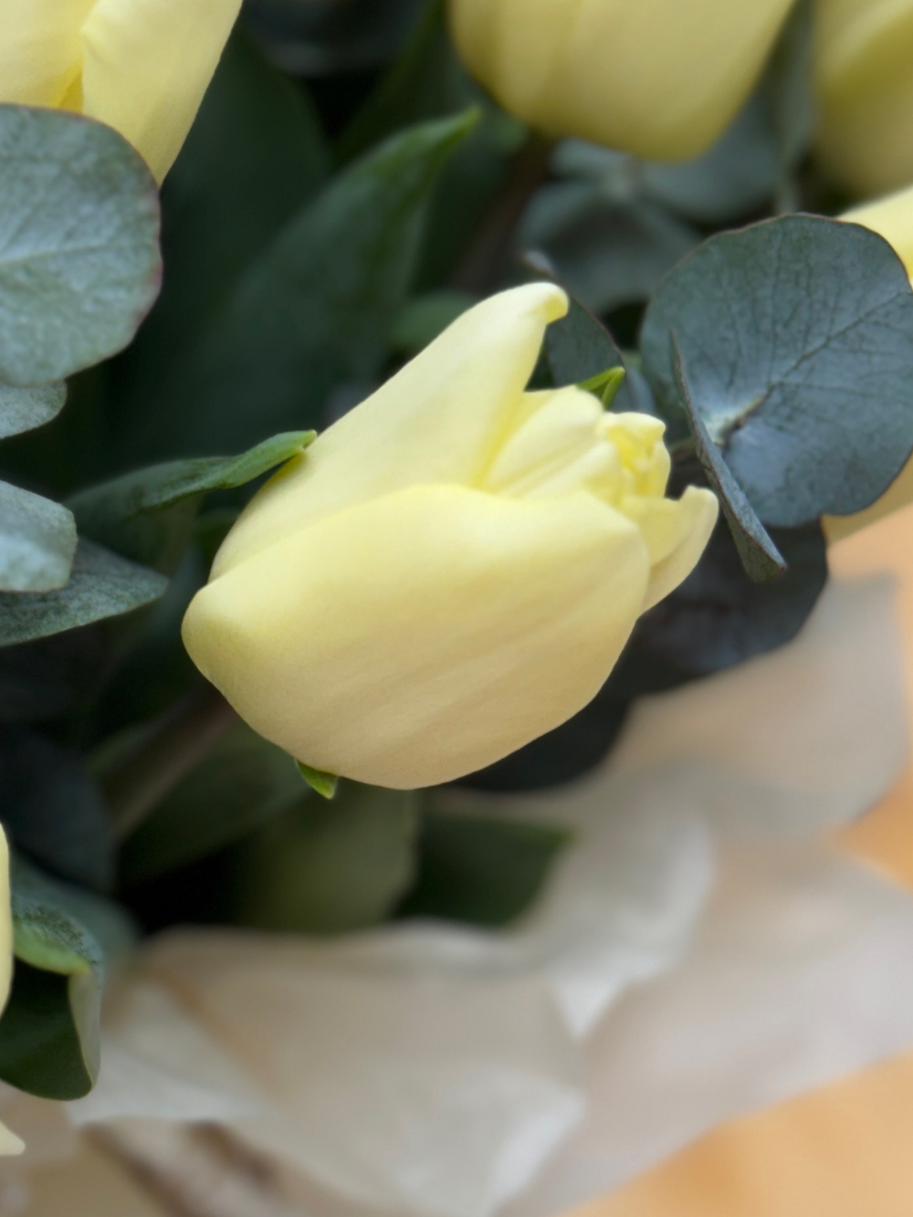 Кремовые тюльпаны и зелень эвкалипта в воздушном оформлении от Флора Маркет