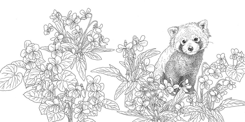 Gifts from animals Birth Moon Flower. Coloring Book