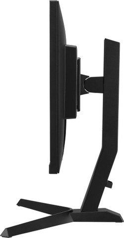 Монитор 24.5" Iiyama G-Master Gold Phoenix (GB2590HSU-B1)