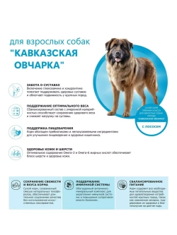 Сухой корм для собак Кавказская овчарка, лосось, 2,5кг