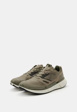 Кроссовки мужские ECCO BIOM 2.2 M