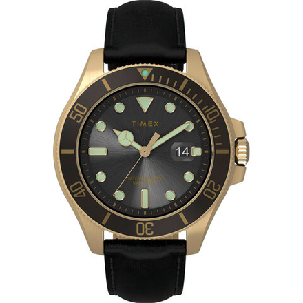 Мужские наручные часы Timex TW2V42200