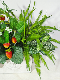 Композиция Клубника с зеленью 40см в кашпо