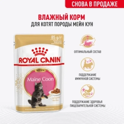 Royal canin kitten maine coon 85 г пауч влажный рацион для кошек породы мейн-кун в возрасте от 3 до 15 месяцев