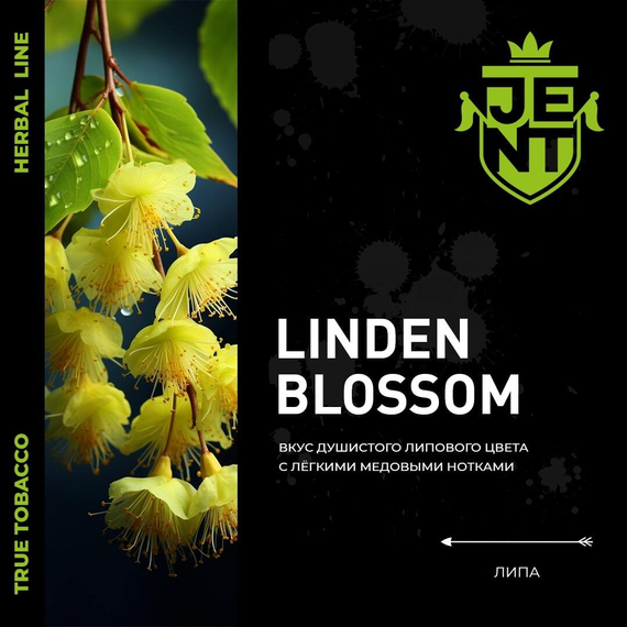 Табак для кальяна JENT (Джент) с ароматом Linden Blossom (Липа), 30гр